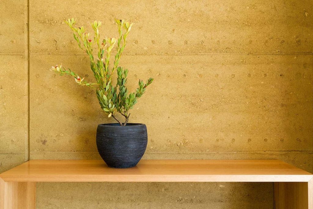 off-form finish of internal rammed earth wall 