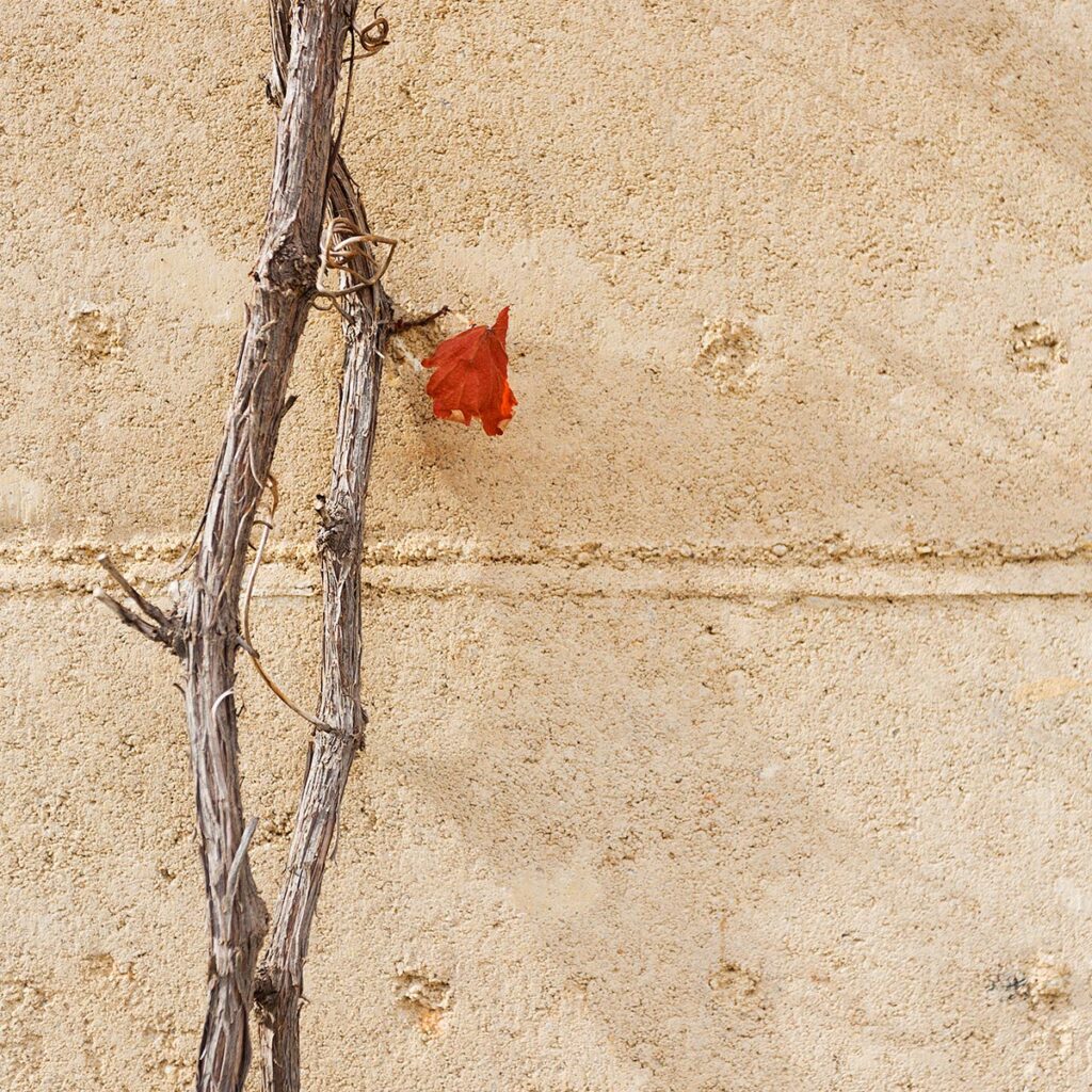 rammed-earth-texture-red-leaf-external